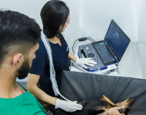 Hospital Público Veterinário de Natal amplia atendimentos e registra crescimento nos serviços